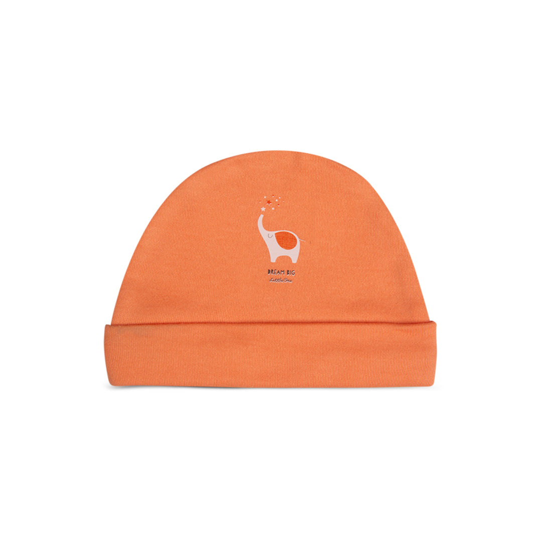Cap Peach DreaBig