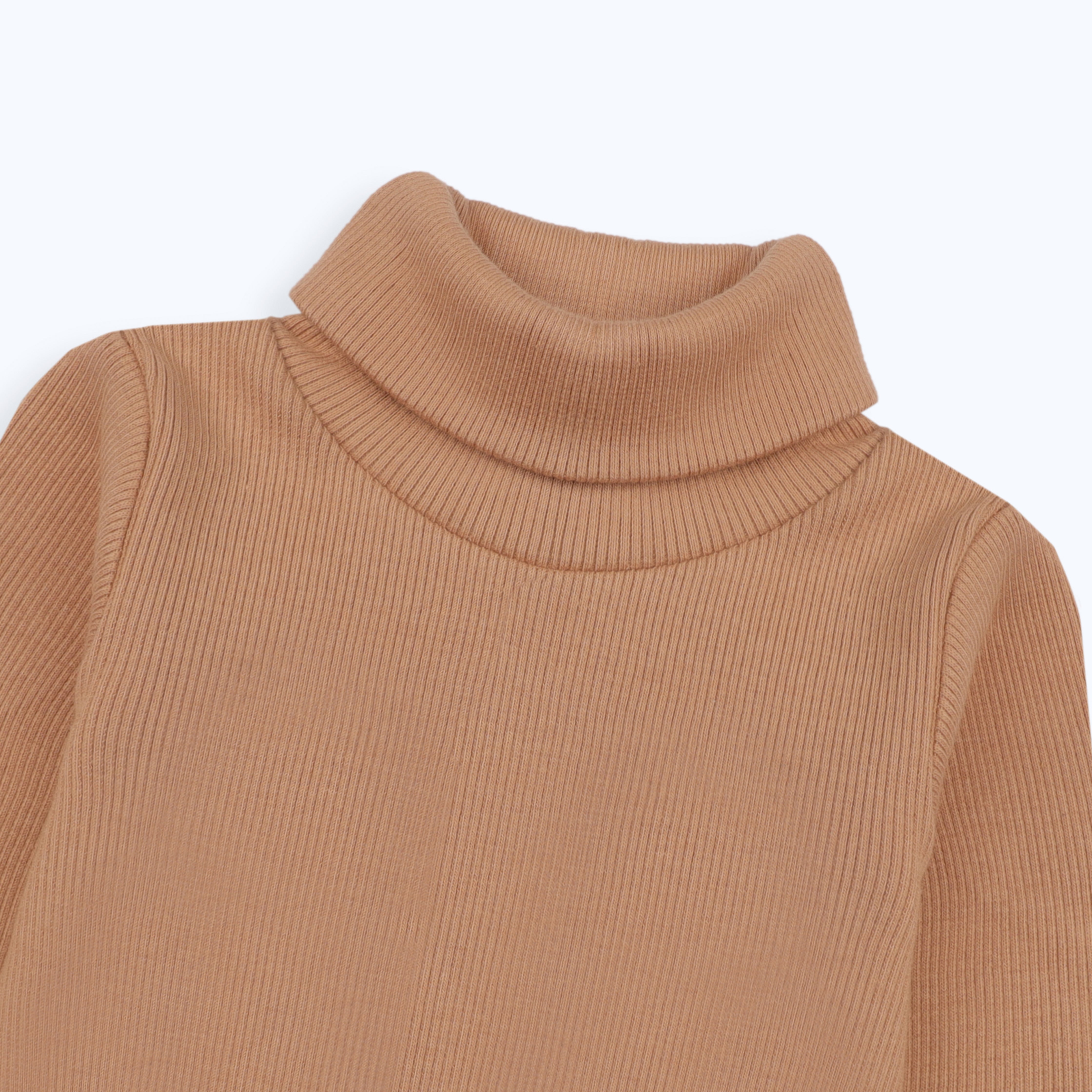 Turtle Neck Orange Toddler