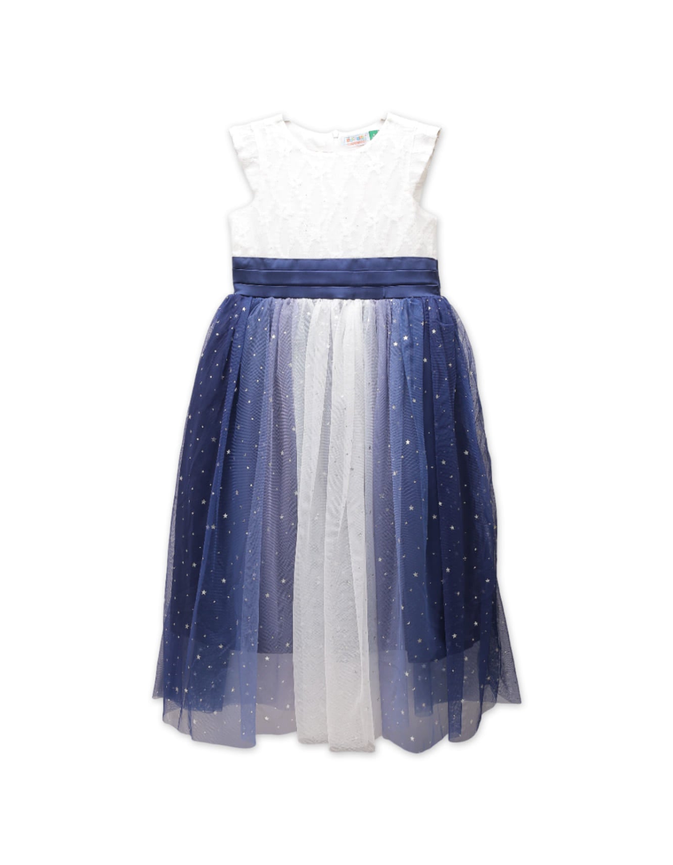 Zubaida's Shimmery Sleeveless Party Dress - Zubaidas Officialâ„¢